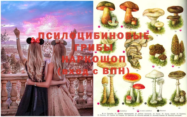MESCALINE Калининец