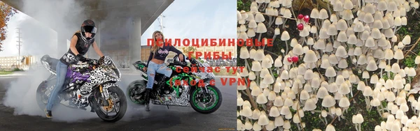 2c-b Нестеровская