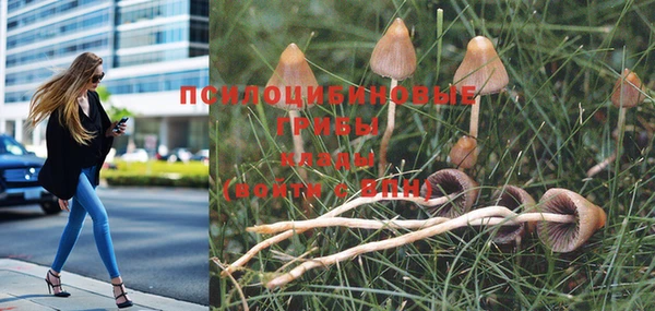 MESCALINE Калининец