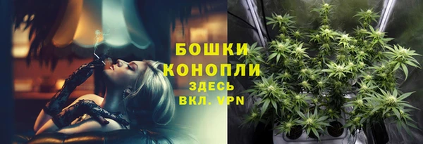 2c-b Нестеровская