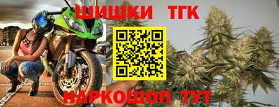 индика Гагарин