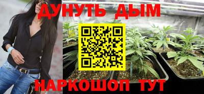 прущие грибы Гай