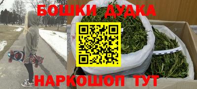индика Гагарин