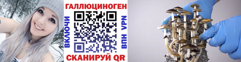 Псилоцибиновые грибы Magic Shrooms Алексин