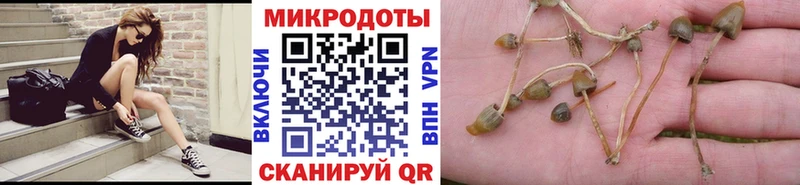 Галлюциногенные грибы прущие грибы  даркнет формула  Алексин  OMG ONION 
