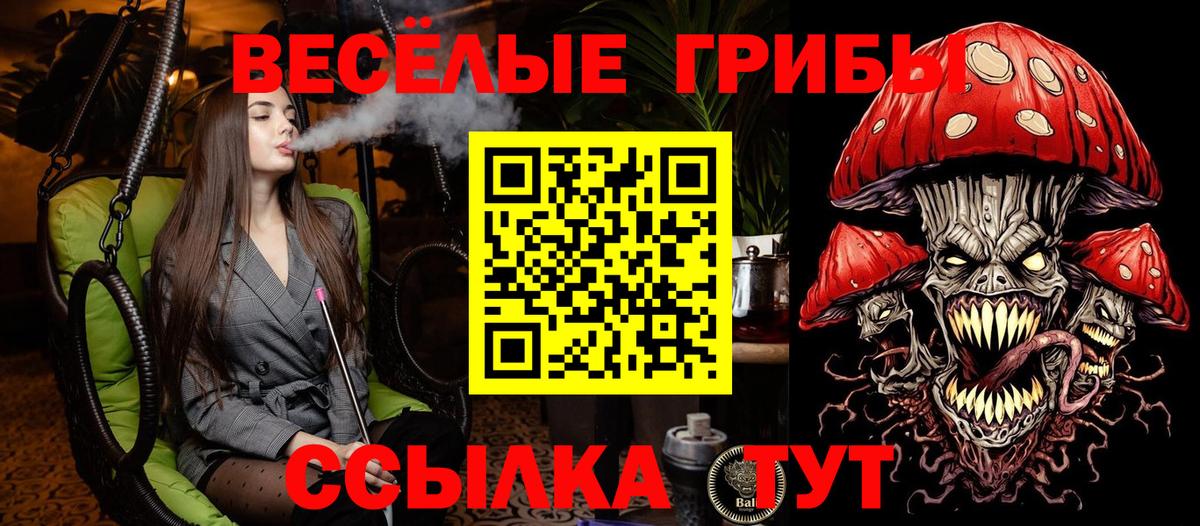 Галлюциногенные грибы Psilocybe Алексин