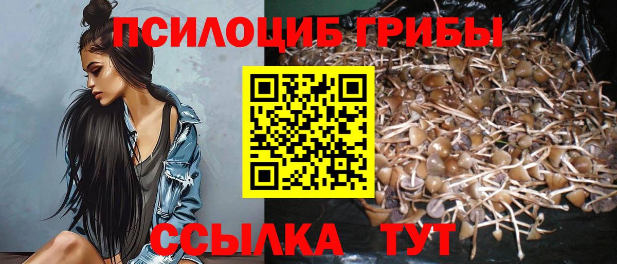 Алексин  Псилоцибиновые грибы мухоморы  Вход с VPN 