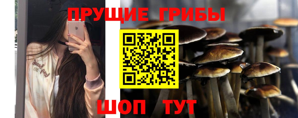 Галлюциногенные грибы MAGIC MUSHROOMS Алексин