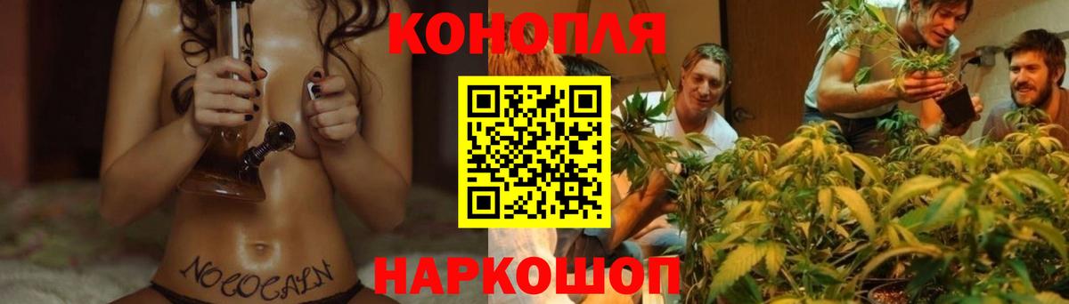 Бошки Шишки Bruce Banner  Канабис гибрид  Вход с VPN  Бошки Шишки тримм  Алексин 